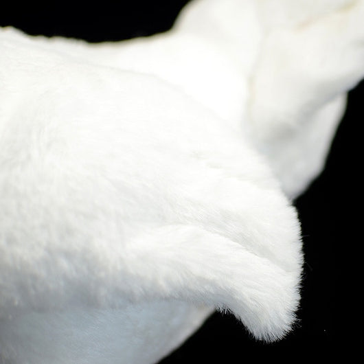 Adorable Peluche Gallo Blanco Realista - Image 10