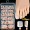 Box of 120 Pieces TD 245 B 1