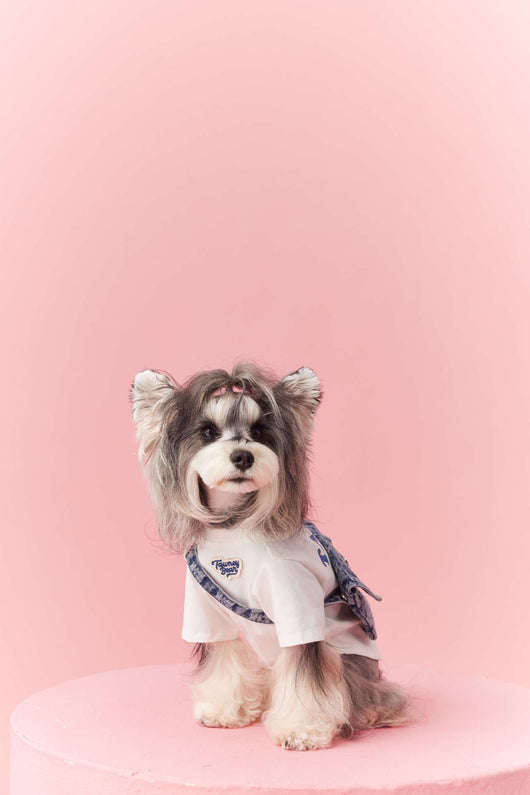 Ropa de Verano para Perros Pequeños - Teddy Schnauzer Bichón - Image 37