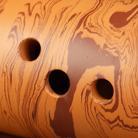 Instrumentos Musicales para Adultos Principiantes - Image 3