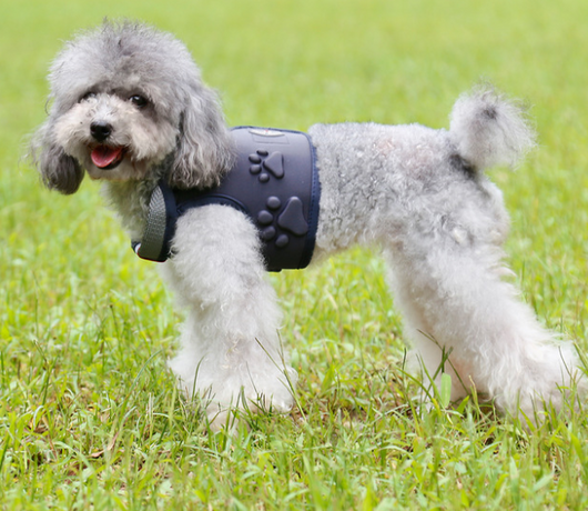 Arnés para Perro con Cuerda de Arrastre - Image 5