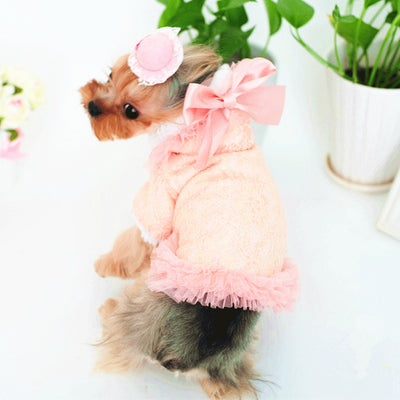 Chaqueta de Terciopelo con Detalles de Encaje Blanqueado - Image 11