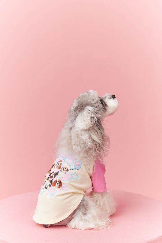 Ropa de Verano para Perros con Contraste de Colores - Image 22