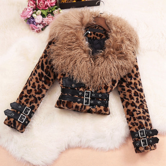 Conjunto de Shorts de Algodón con Chaqueta y Cintura de Cuero