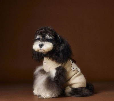Chaleco Térmico sin Mangas para Perros Schnauzer, Bichón y Razas Pequeñas - Image 23