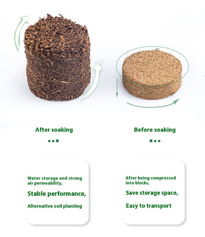 Bloque de Sustrato Nutritivo para Germinación y Cultivo de Vegetales - Image 15