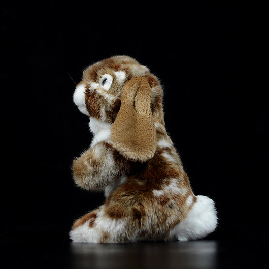 Peluche Adorable Conejo Holandés - Image 16