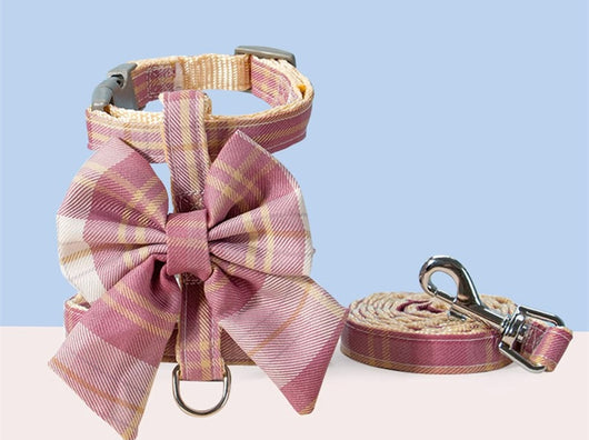 Falda para Perro con Correa de Sujeción - Mascotas Pequeñas y Medianas - Image 14
