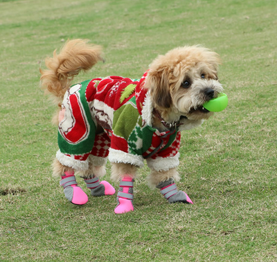 Zapatos para Caminar Perros - Image 2
