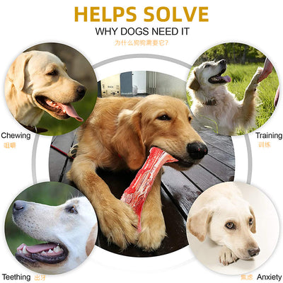 Palo Masticable Resistente para Perros - Simulador de Hueso para Molares - Image 3