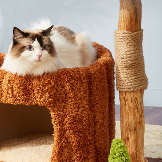 Árbol Rascador para Gatos en Madera Maciza con Juguete de Sisal Integrado - Image 4