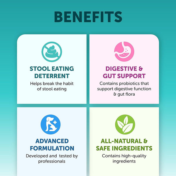 Tabletas Masticables Probióticas para la Salud Intestinal de Mascotas