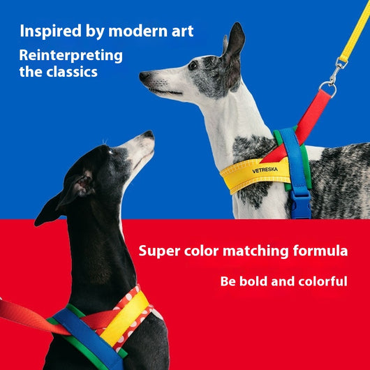 Arnés de Pecho y Correa de Tracción para Perros - Image 7