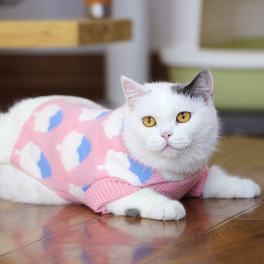 Suéter Gato Azul Británico para Otoño e Invierno - Image 20