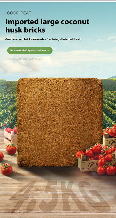 Sustrato de Coco para Plantas Suculentas - Cultivo sin Tierra - Image 9