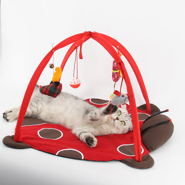 Cama Interactiva para Gatos con Juegos Integrados