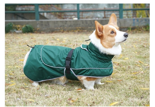 Abrigo Térmico Protector para Perros - Image 11