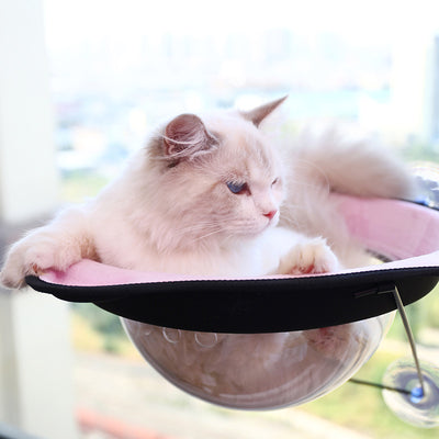 Nido Colgante Espacial para Gatos con Ventosas - Hamaca para Tomar el Sol