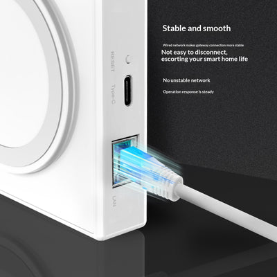 Puerta de Enlace Inteligente Zigbee Matter con Cable para Hogar Conectado - Image 13