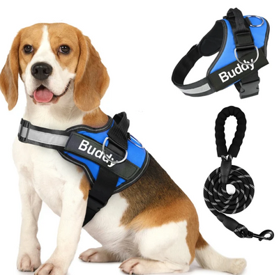 Arnés para Perros en Pareja con Correa de Pecho - Image 9