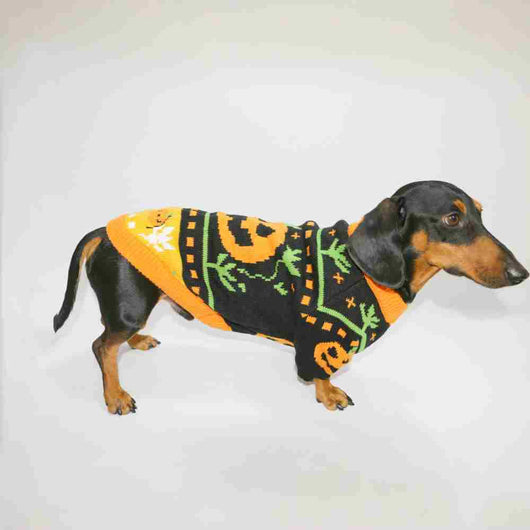 Suéter Cálido para Mascotas en Tonos Naranja - Abrigo Acogedor para Perros y Gatos - Image 12