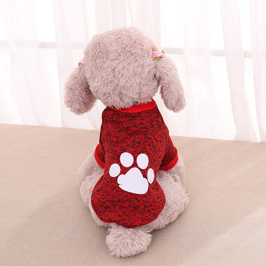 Suéter de Dos Patas para Mascotas - Diseño Teddy Acogedor - Image 10