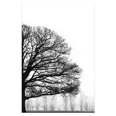 Cuadro Decorativo Moderno Árboles Invernales en Blanco y Negro - Image 9