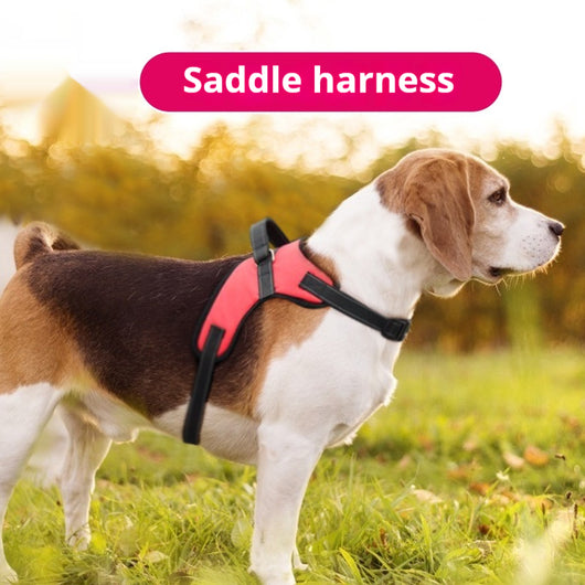 Blue and black mesh dog harness with adjustable straps, a D-ring for leash attachment, and a quick-release buckle. - Image 2