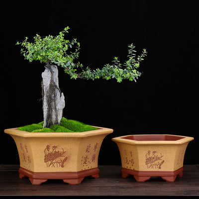 Maceta Hexagonal de Barro Yixing Púrpura Grande para Bonsái y Plantas de Sala - Image 4