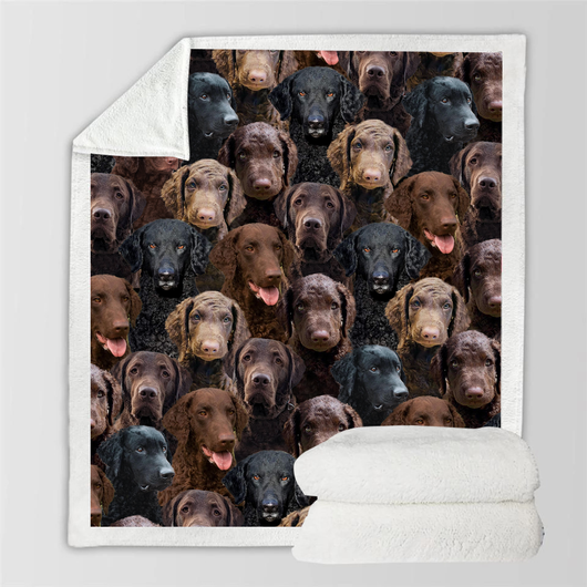 Manta Flanela Estampada para Perros de Moda - Image 54