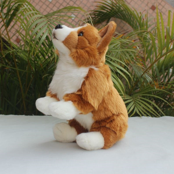 Peluche Perrito Corgi Realista - Juguete de Simulación Premium - Image 7