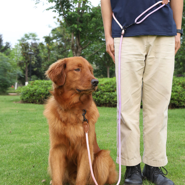 Correa Reflectante Multiusos para Pasear Perros y Gatos