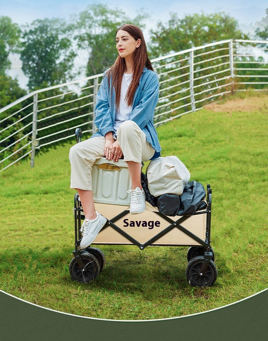 Carrito de Camping Plegable Tirado a Mano - Image 15