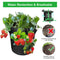 Bolsa de Cultivo en Fieltro Premium