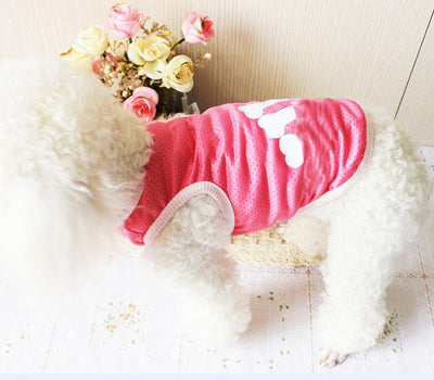Ropa y Accesorios para Mascotas - Image 5