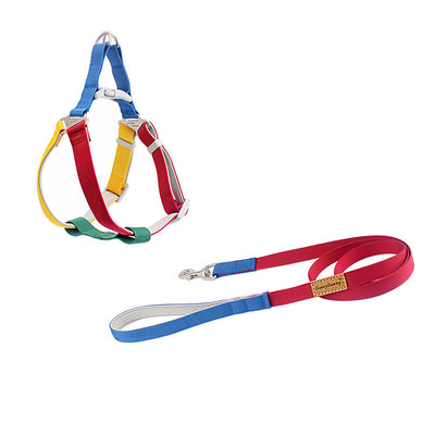 Correa Multicolor para Perro con Arnés de Pecho y Espalda - Image 6