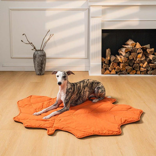 Colchoneta Climática Universal para Mascotas - Image 15