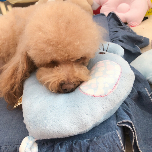 Almohada Cómoda con Diseño de Mascota Adorable - Image 6