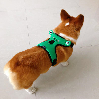 Arnés de Paseo para Perro Pequeño con Chaleco y Cuerda de Tracción - Image 4