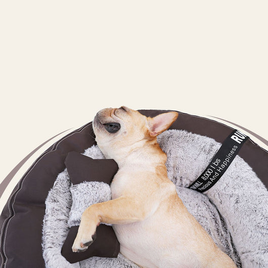 Suplemento de Sueño Profundo para Perros Pequeños y Medianos - Image 4