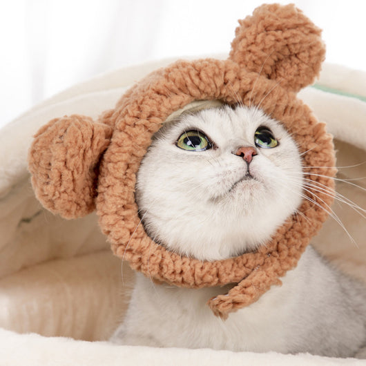 Gorro Disfraz Gatito Osito - Accesorios de Moda Infantil - Image 3