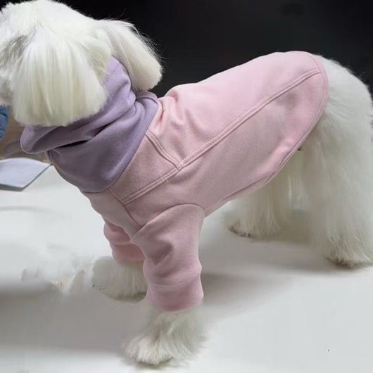 Playera de Bloques de Color para Mascotas - Ropa Cómoda para Perros - Image 4
