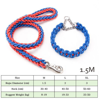 Collares y Correas para Perros de Nylon Reforzado - Entrenamiento y Paseos - Image 9