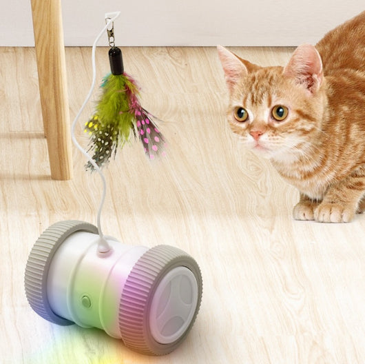 Juguete Interactivo para Gatos Recargable - Image 10