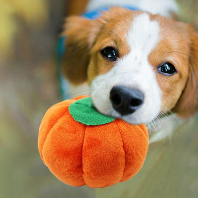 Purple plush eggplant pet toy with a green stem and an embroidered happy face, designed for dogs and cats. - Image 6