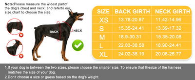 Arnés Pectoral para Perro con Correa de Control - Image 13