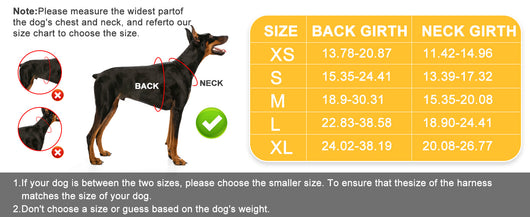 Arnés Pectoral para Perro con Correa de Control - Image 13