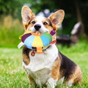 Juguete Mordedor para Perros con Sonido y Alivio de Estrés - Image 24