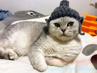 Gorro de Lana Buddha para Gatos - Disfraz Acogedor - Image 9