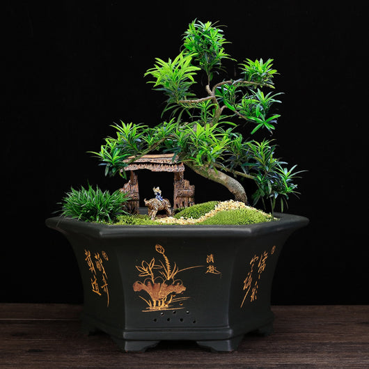 Maceta Hexagonal de Barro Yixing Púrpura Grande para Bonsái y Plantas de Sala - Image 3